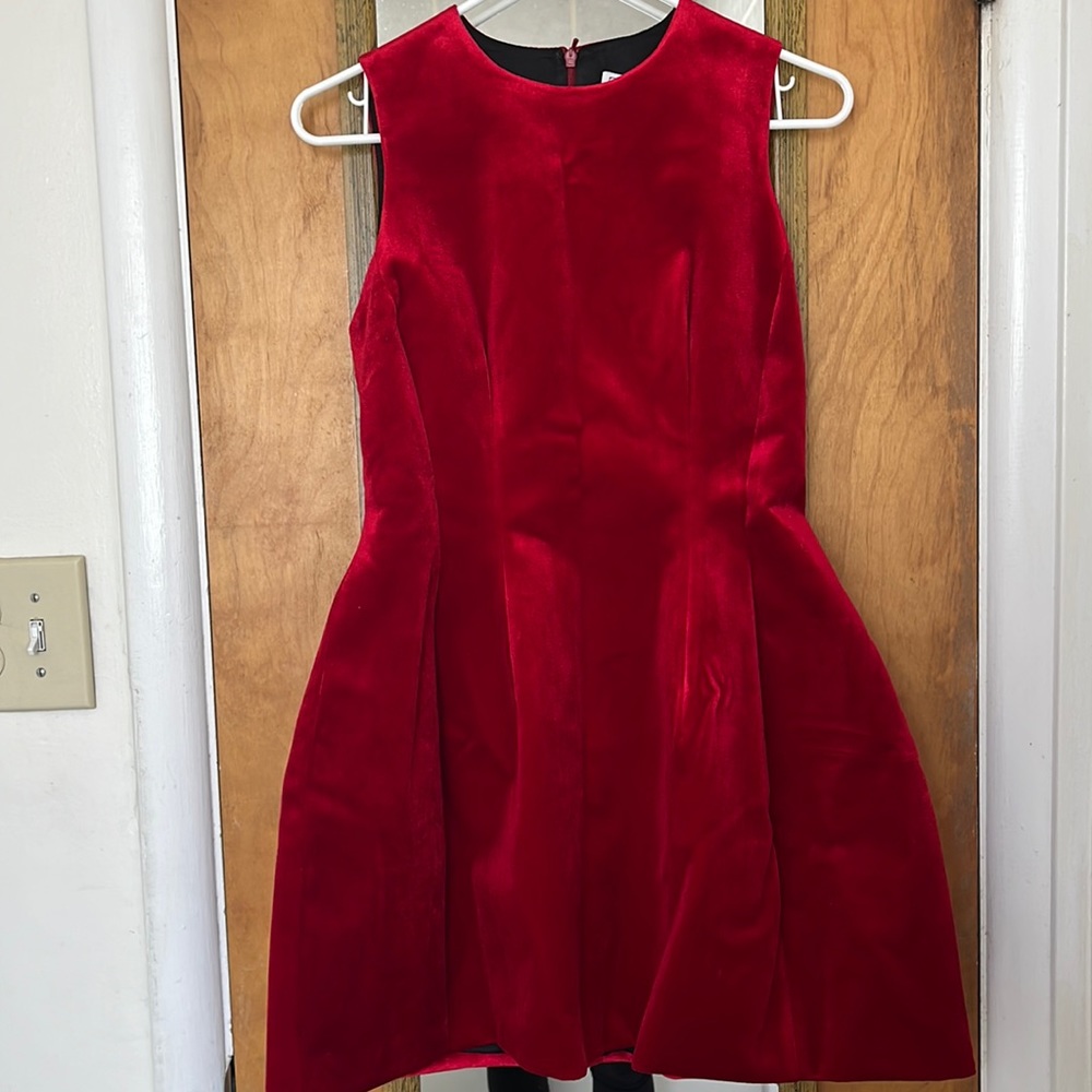 Brand new velvet Zara dress